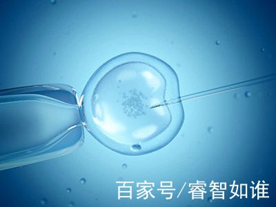胚胎实验室